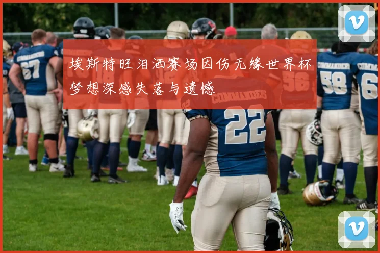 埃斯特旺泪洒赛场因伤无缘世界杯梦想深感失落与遗憾